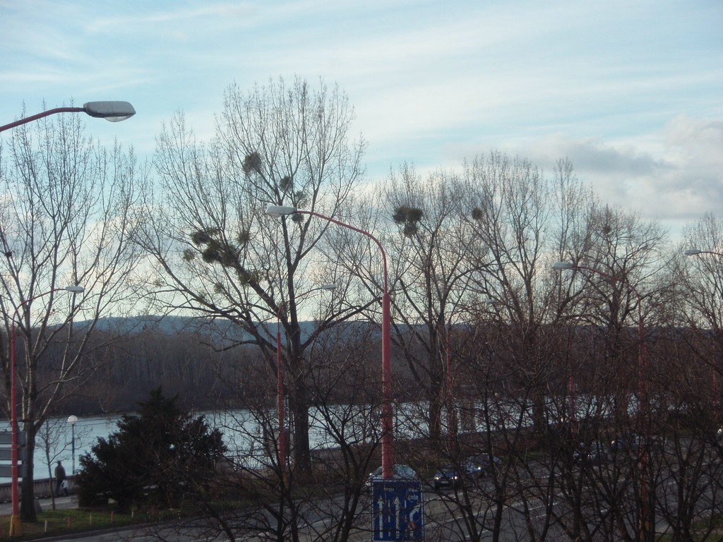 PC132114.JPG
