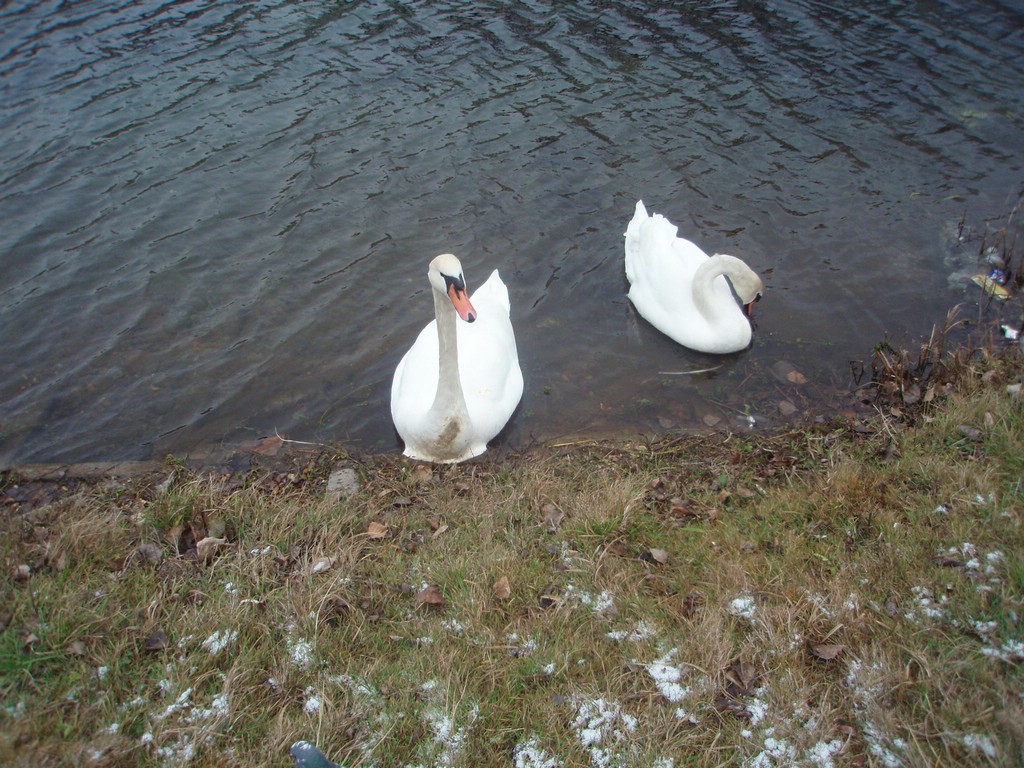 PC142225.JPG