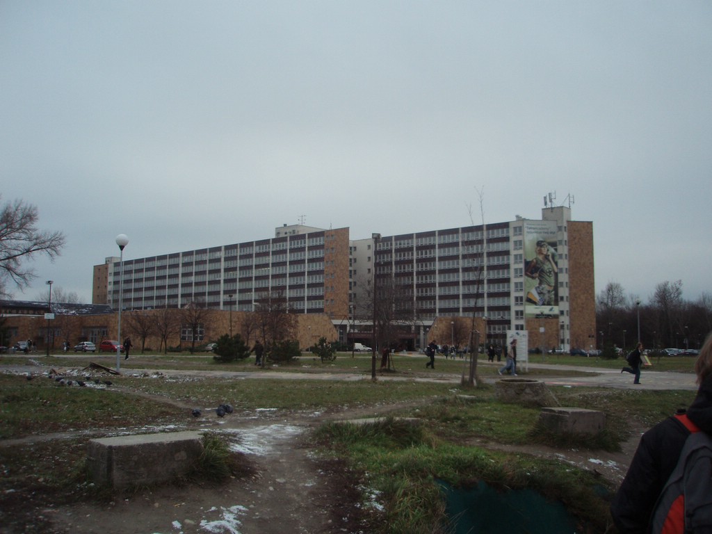PC142230.JPG
