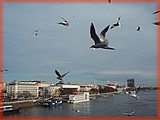 PC132107.JPG