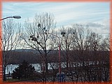 PC132114.JPG