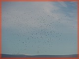 PC132131.JPG