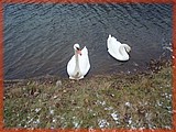 PC142225.JPG