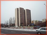 PC142229.JPG