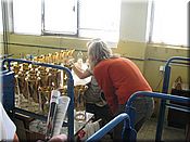 25. kv�ten 2006