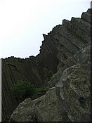 25. kv�ten 2006