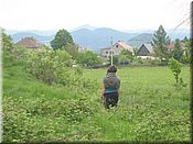 25. kv�ten 2006