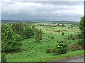 25. kv�ten 2006