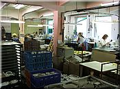 24. kv�ten 2006