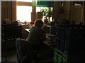 24. kv�ten 2006