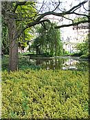 24. kv�ten 2006