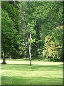 24. kv�ten 2006