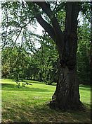 24. kv�ten 2006