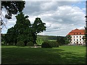 24. kv�ten 2006