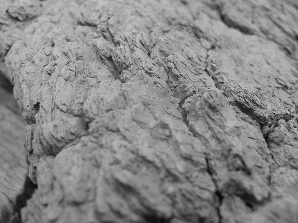 Soubor: utery036.jpg