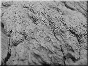 23. kv�ten 2006