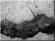 23. kv�ten 2006