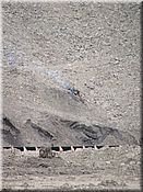 23. kv�ten 2006