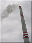 24. kv�ten 2006