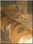 23. kv�ten 2006