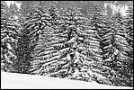 2005_0123klasterkaHonza0111.jpg