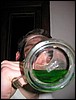 0030.JPG