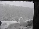 0157.JPG