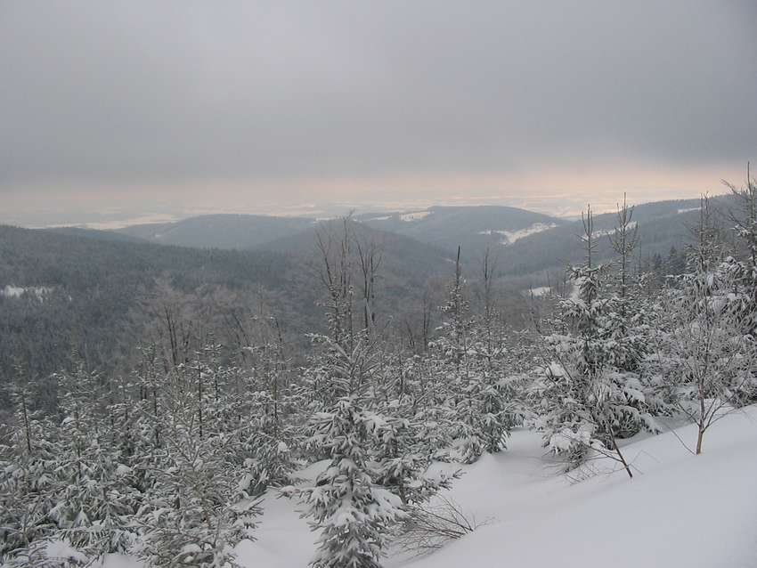 Soubor: kl054.jpg