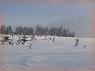 26. �nor 2006