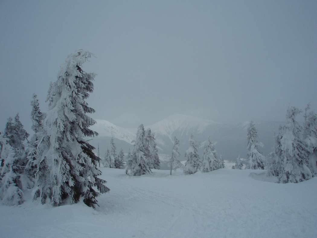 Soubor: kla038.jpg