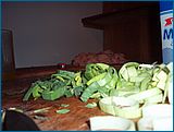 19. �nor 2007