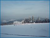 20. �nor 2007