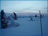20. �nor 2007