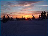 21. �nor 2007