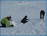 23. �nor 2007