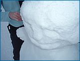 23. �nor 2007