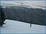 28. �nor 2007