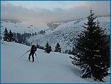 28. �nor 2007