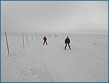 28. �nor 2007