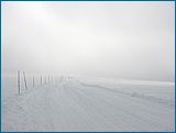 28. �nor 2007