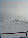 28. �nor 2007
