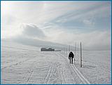 28. �nor 2007