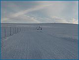 28. �nor 2007