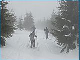 28. �nor 2007