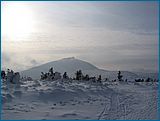 24. �nor 2007