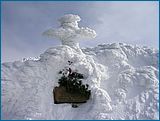 21. �nor 2007