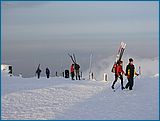 23. �nor 2007
