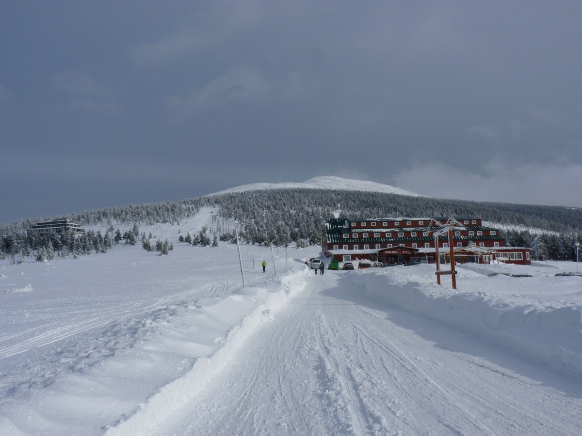 P1000651.JPG