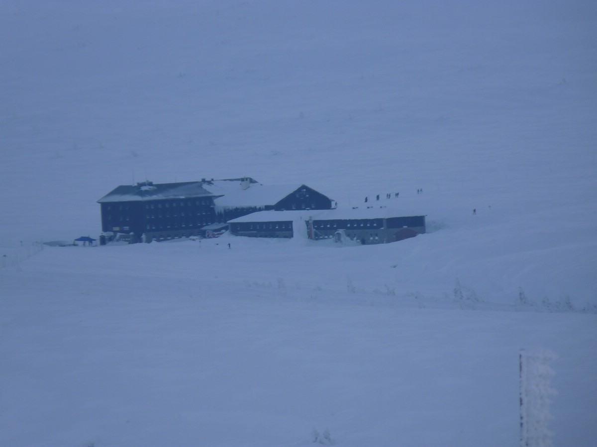 P1000654.JPG