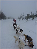P1000575.JPG